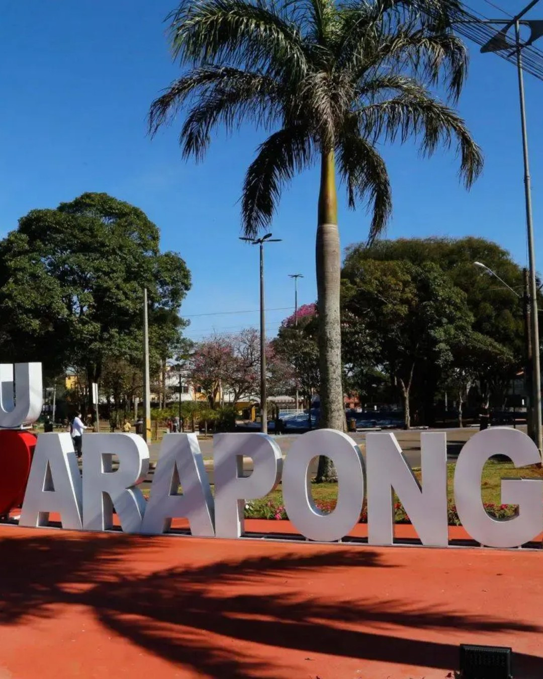 MPPR recomenda extinção de companhia de economia mista em Arapongas por prejuízos ao erário