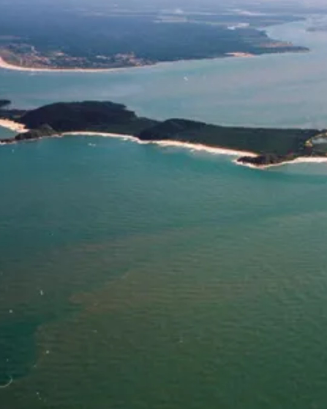 Pescadores relatam colapso da pesca após dragagem na Baía de Paranaguá