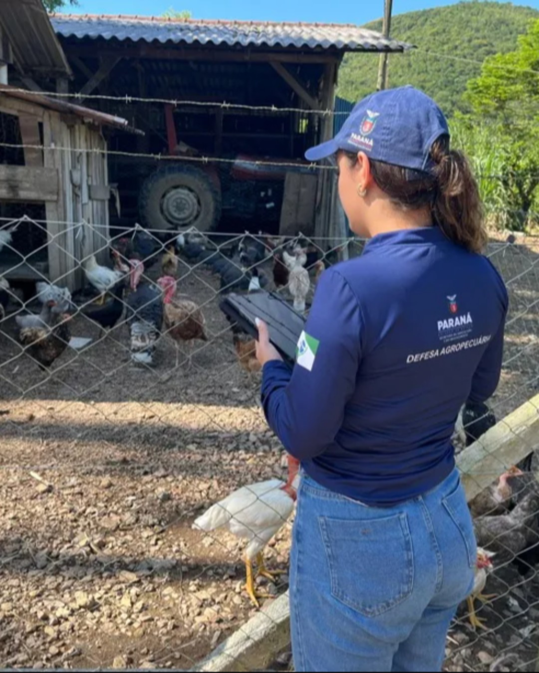Servidores da Defesa Agropecuária suspendem greve e aguardam resposta do Governo do Paraná