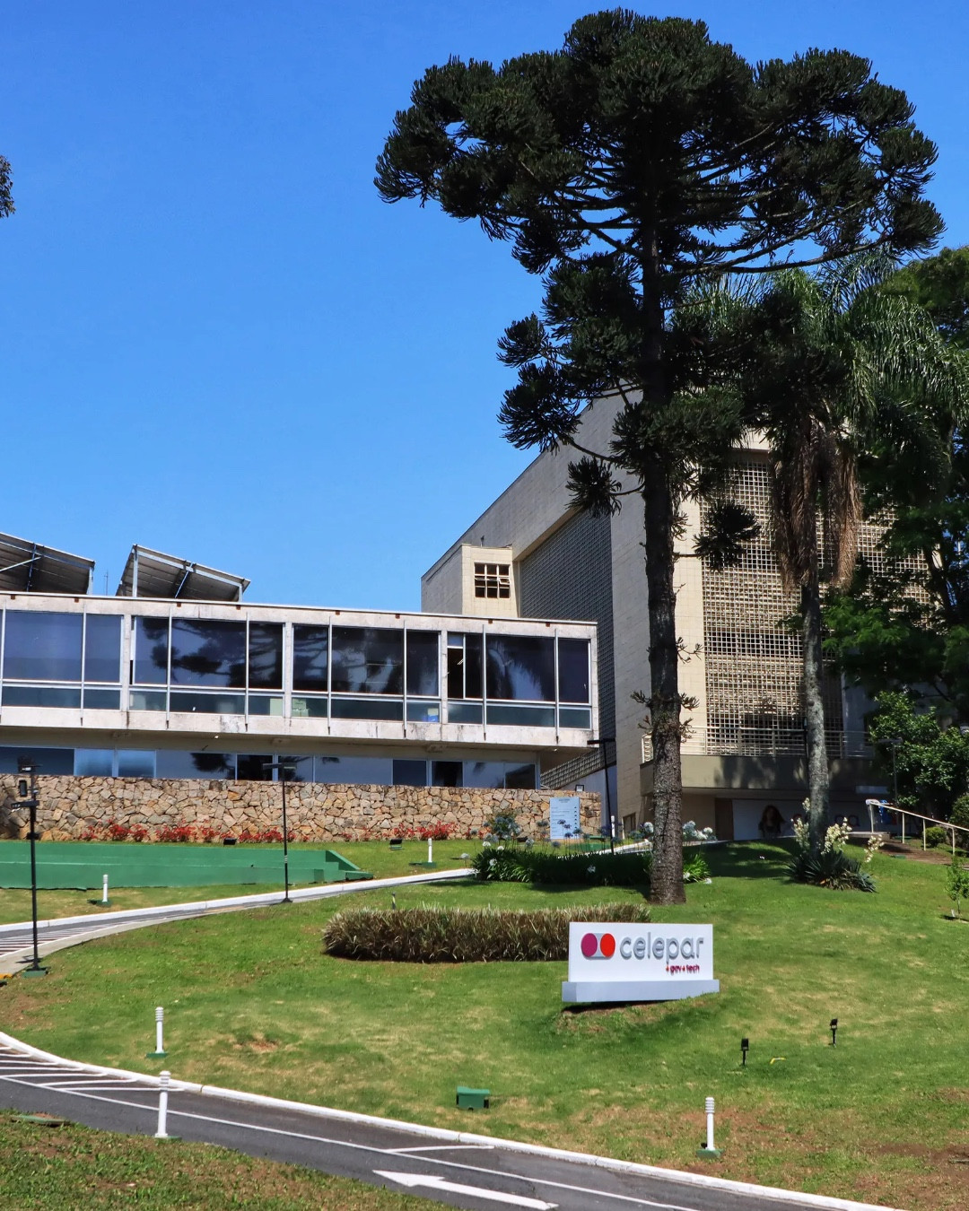 TCE vê indícios de direcionamento em contrato da Celepar com Google