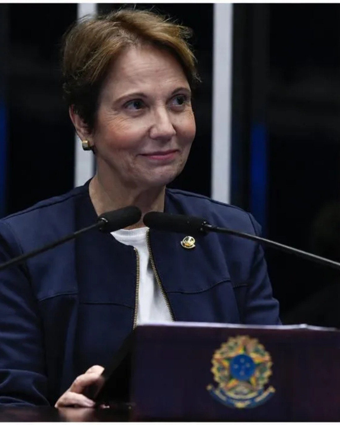Tereza Cristina impõe condições para ser vice de Flávio Bolsonaro
