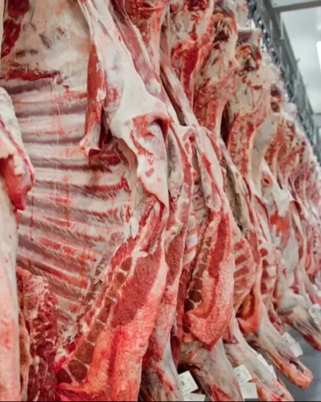 União Europeia barra Brasil de lista para exportação de carne e produtos animais